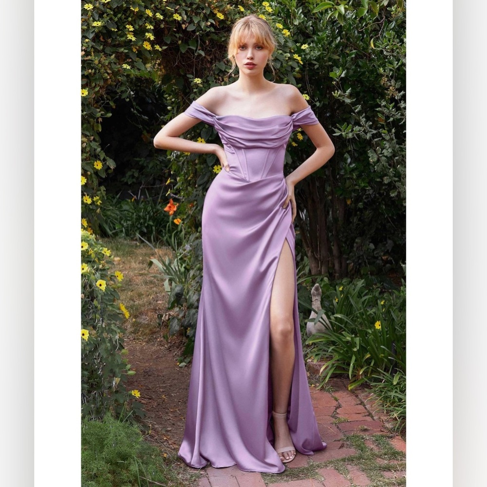 Unique Vintage Cinderella Divine Lavender Corset Gown